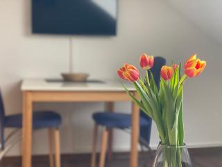 Haus Daubert Wohnung 4 - 4