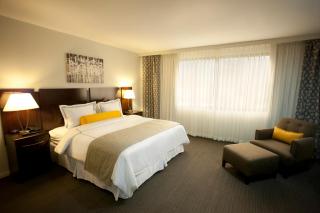 Hotel Los Andes - San Pedro Sula - 3