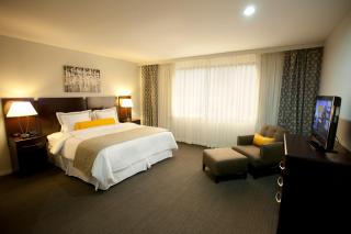 Hotel Los Andes - San Pedro Sula - 0