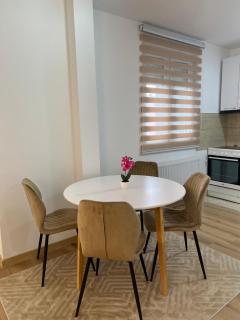 Stan na dan Stanojević - 5