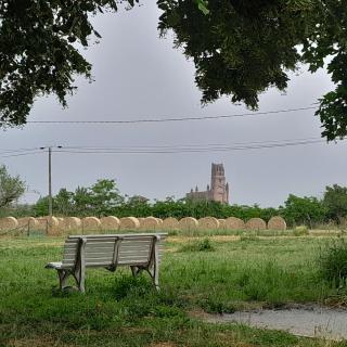 Gite à la campagne avec vue sur la Cathédrale - ALBI - 6