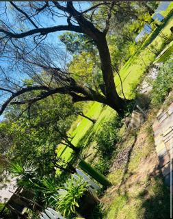 Folang resort manor - 1