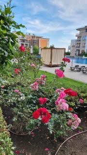 Beige-a-view, F2 - Sea Dreams, Sveti Vlas - 4