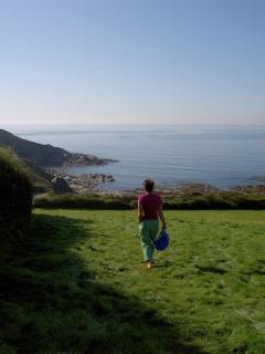 Dolphin Cottage 350m to SWCP Talland Bay - 3