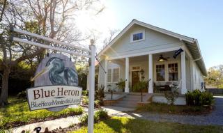 Blue Heron - Old Mandeville - 7