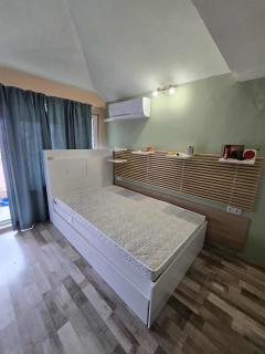 Морско таванче - 3