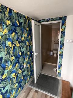 Морско таванче - 1