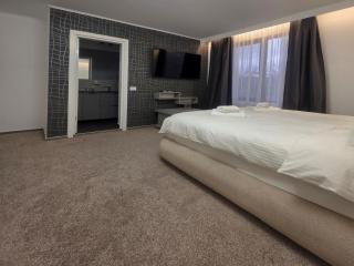 Hillcrest Panorama Valea Prahovei - 6