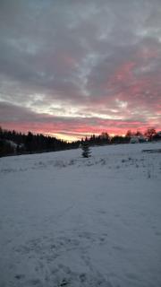 Cabana Belis Dealu Negru - 1