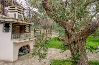 Elaion House - 7