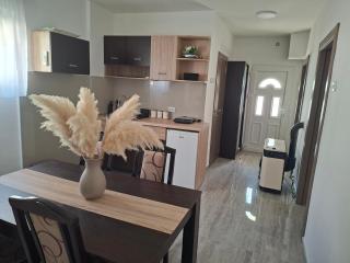 Apartman Milačić - 7