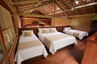 Sitio Bengala - Refúgio das Águas e Mata Nativa - 5