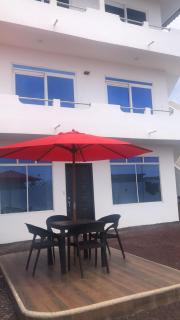 Piqueros patas azules - 6