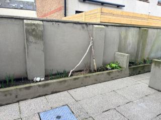 Bide A While at the Port - 4