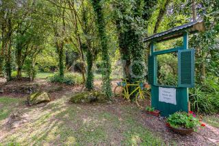 Chalé Privativo em meio à Natureza - 7