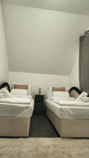 Crassula Lux 2 - Surčin - 6