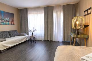 2-Modernes 1-Raum Apartment in Wiesbaden,ruhig und mit Terrasse - 8