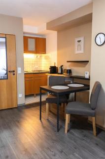 2-Modernes 1-Raum Apartment in Wiesbaden,ruhig und mit Terrasse - 4