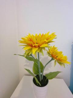 3 bed garden house direct connection to airport n train station - 3