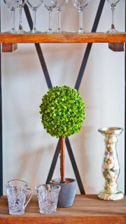 Sunset Sands And Sea Dogs - West Cape May - 2