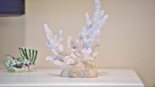 Sea Mist Unit 6 - 1 Bedroom Beachfront Beauty! - Cape May - 3