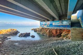 Apartments by the sea Rogac, Solta - 11655 - 4