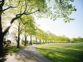 Beautiful apartment with garden near central London - 6