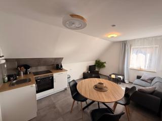 DG Apartment mit Neckarblick - 7