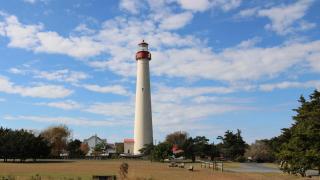 Renascence Cottage - 3