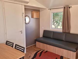 Mobil-home avec terrasse - 8 pers. - API-1-52-2177 - 8
