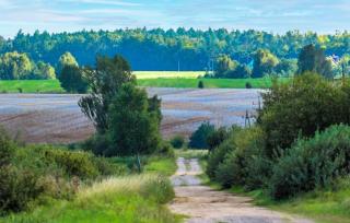Lovely Home In Dmuchowo - 3