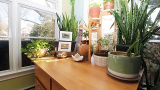 The Roost Ii On Leaming - 1