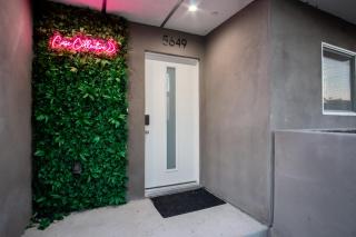 Emerald Garden at Case Collective - 9