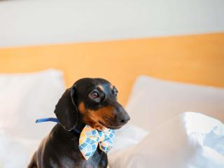 ibis Epinay sur Seine - Gennevilliers - 4