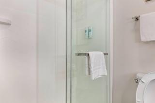 Comfort Inn & Suites Springfield - 3