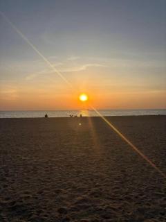 Lotusland Resort - 2