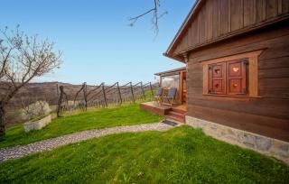 Pet Friendly Home In Brebrovac With Wifi - 2