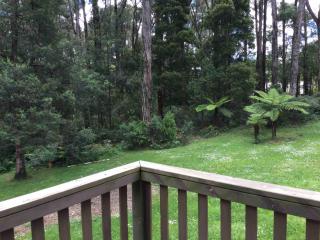 Emerald Creek Cottages - Emerald - 7