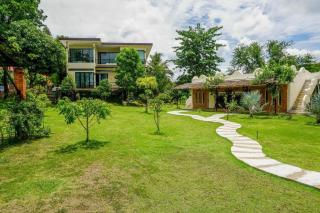 Dandelion Resort - 8