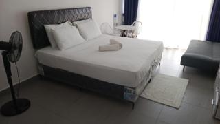 Palm breeze villa - 4
