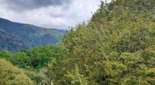 Hotel Grand Baron - 8