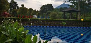 Glamping Camphills - 5