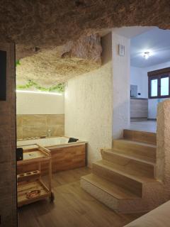 Amonite - 3