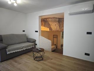 Amonite - 1