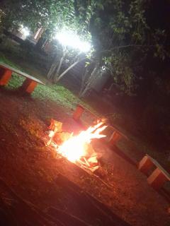 Tree Lines Farm Stay - 4