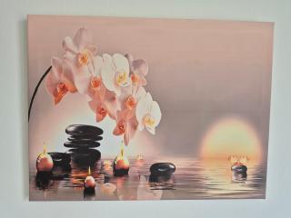 private room with a shared bathroom - 1