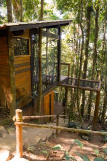 Tree House - 4