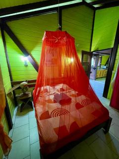 Kaz Bwa dinde vue mer dans jardin tropical - 1