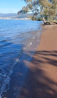 Villa Laguna -house by the beach - 9