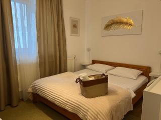 Pensiunea Coroana de Aur - 7